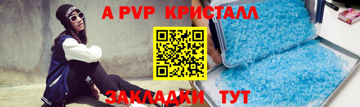Альфа ПВП СК Магадан